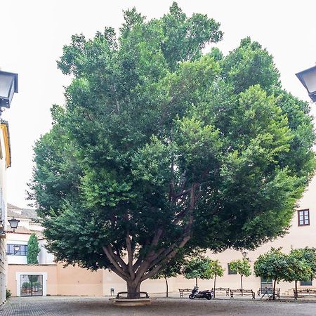 Alohamundi Escuelas Pias Sevilla Bagian luar foto