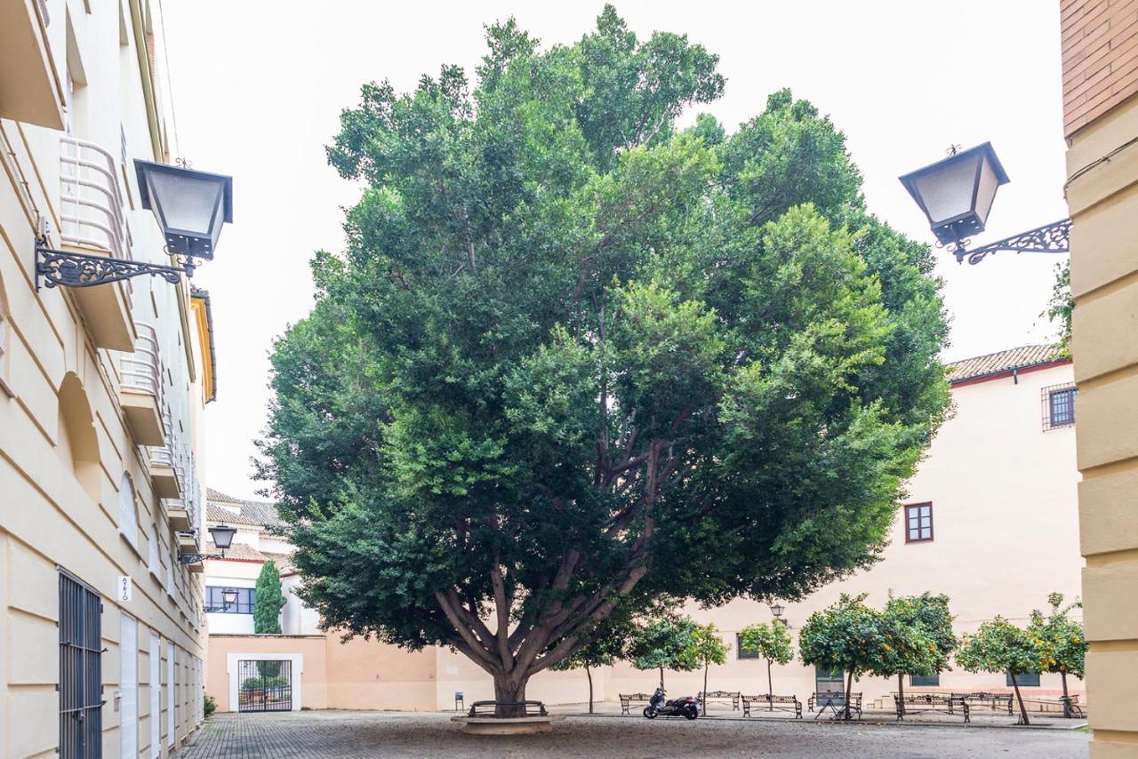 Alohamundi Escuelas Pias Sevilla Bagian luar foto